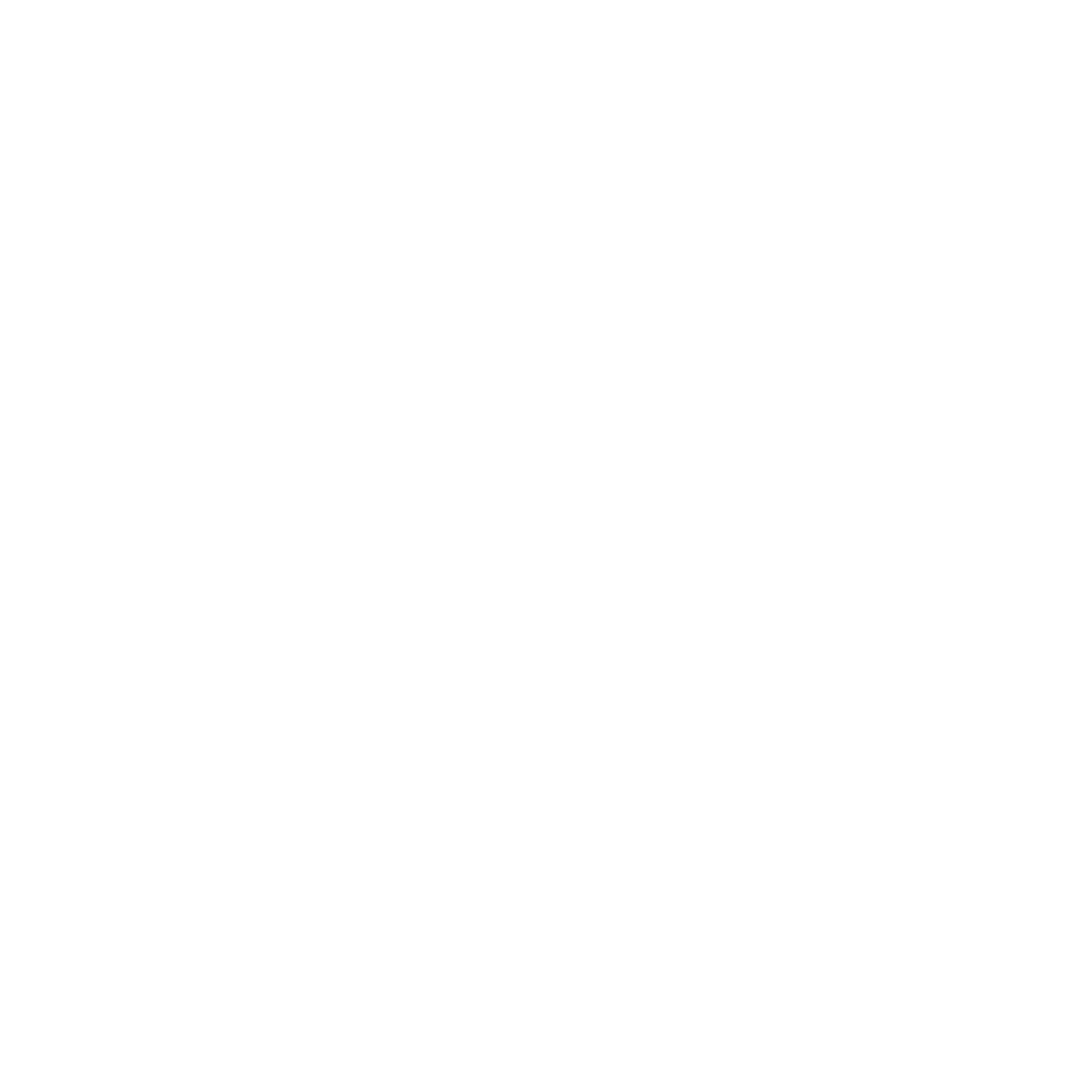 Botoxe_Logo_BTX_2